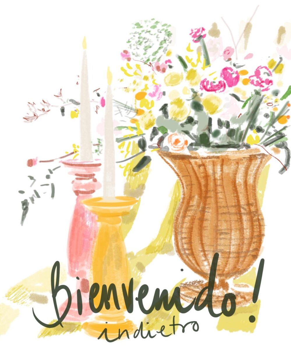 ilustracion-catalina-shop Bienvenido! Indietro
