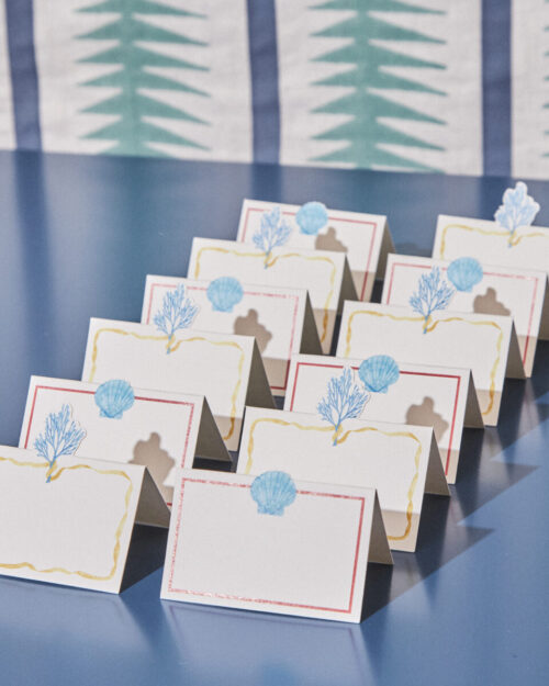 SET PLACE CARDS, INDIETRO