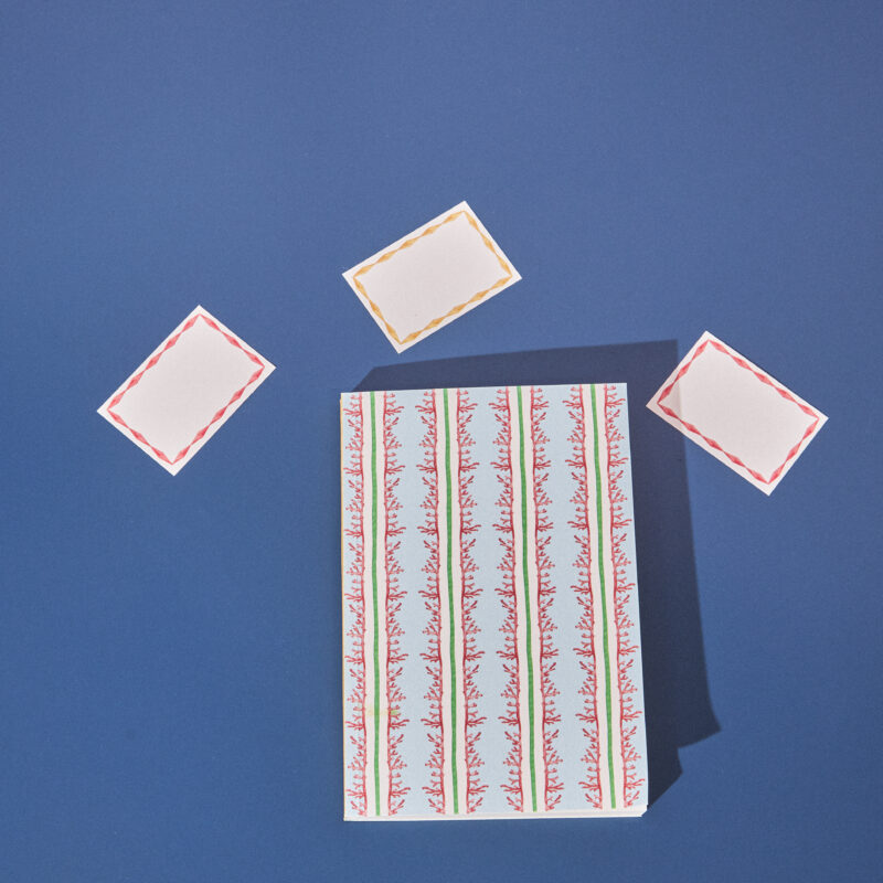 cuaderno corales rayas, papelería indietro