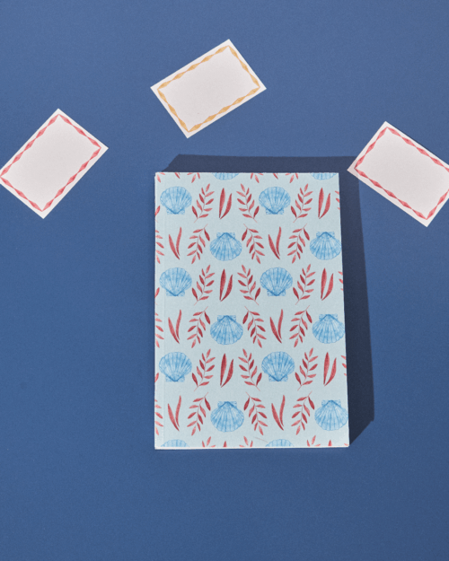 cuaderno estampado conchas, papelería indietro
