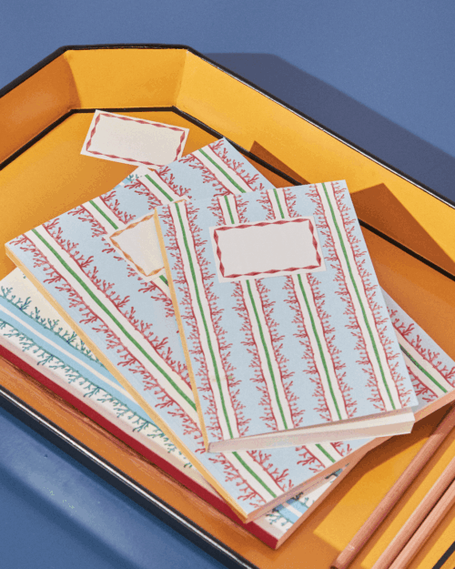 CUADERNO CORAL PEQUEÑO, RAYAS,INDETRO PAPELERIA