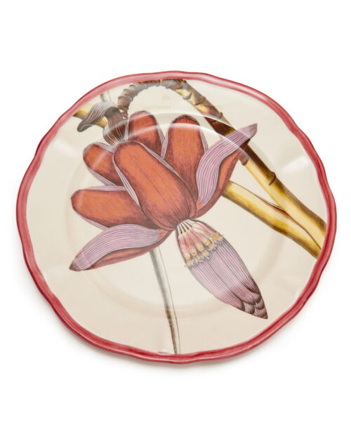 PLATO FLOR BOTÁNICA