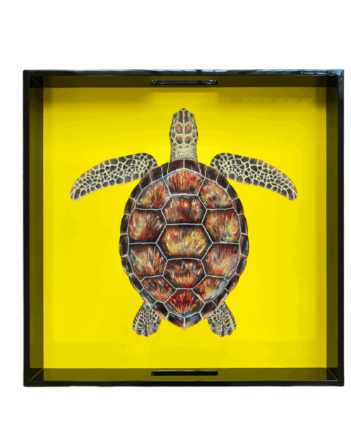 BANDEJA LACA TORTUGA