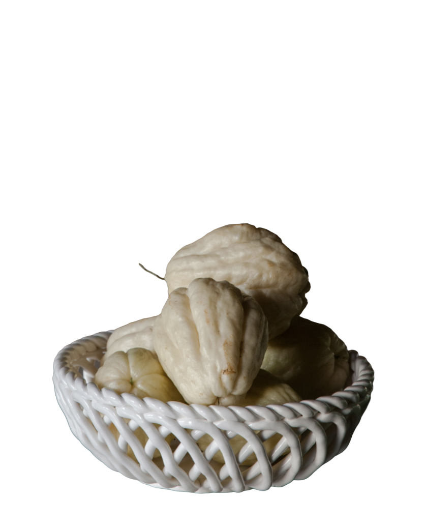 CESTA CERAMICA - Imagen 2