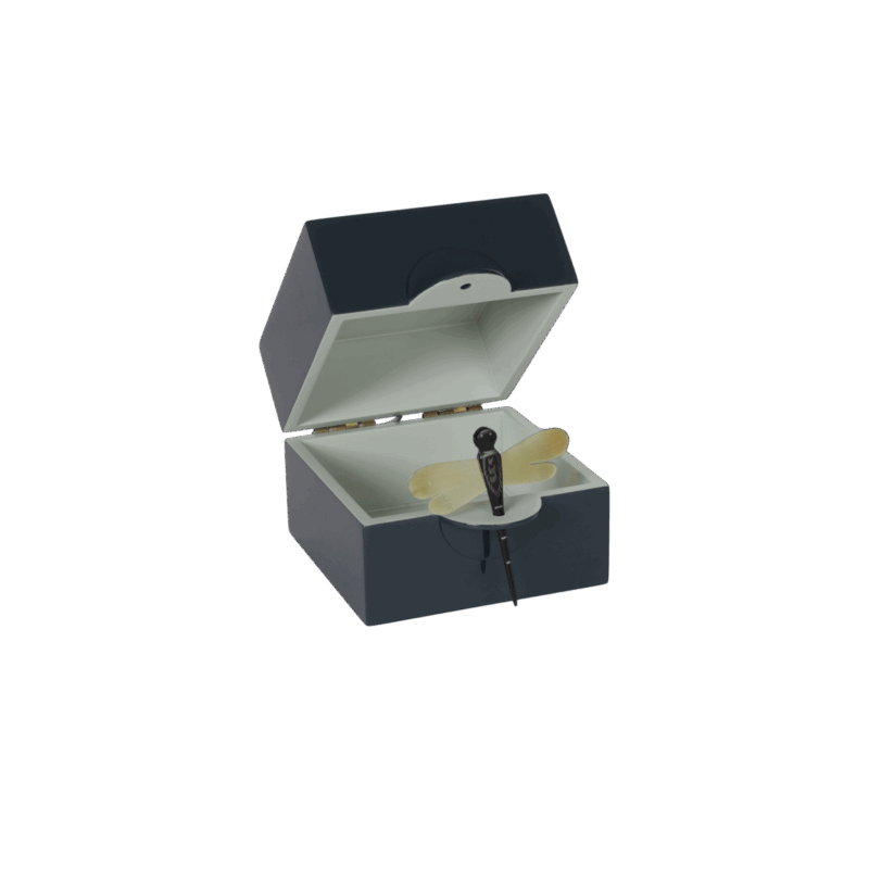CAJA DRAGONFLY PETROLEO S - Imagen 3