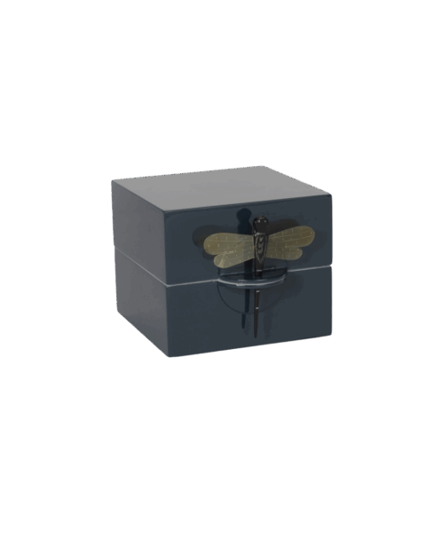 CAJA DRAGONFLY PETROLEO S