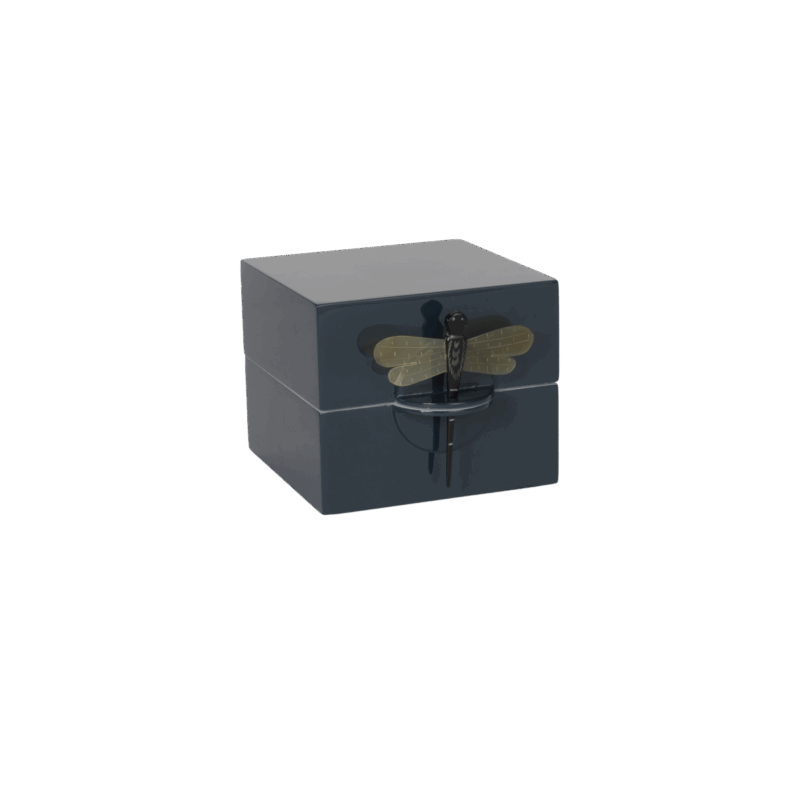 CAJA DRAGONFLY PETROLEO S