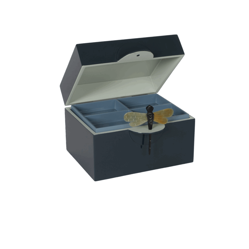 CAJA DRAGONFLY PETROLEO - Imagen 3