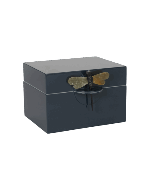 CAJA DRAGONFLY PETROLEO