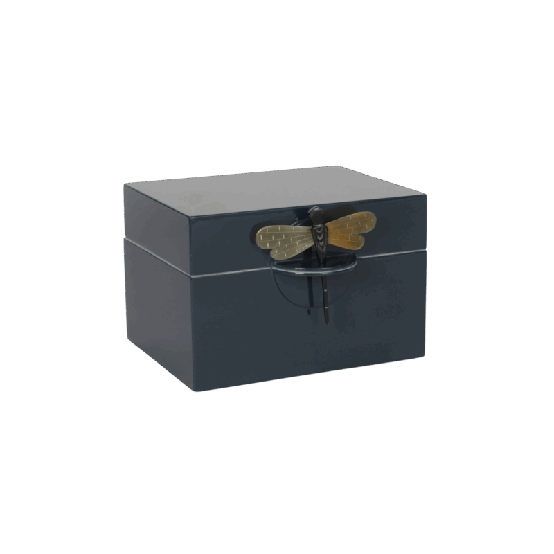 CAJA DRAGONFLY PETROLEO