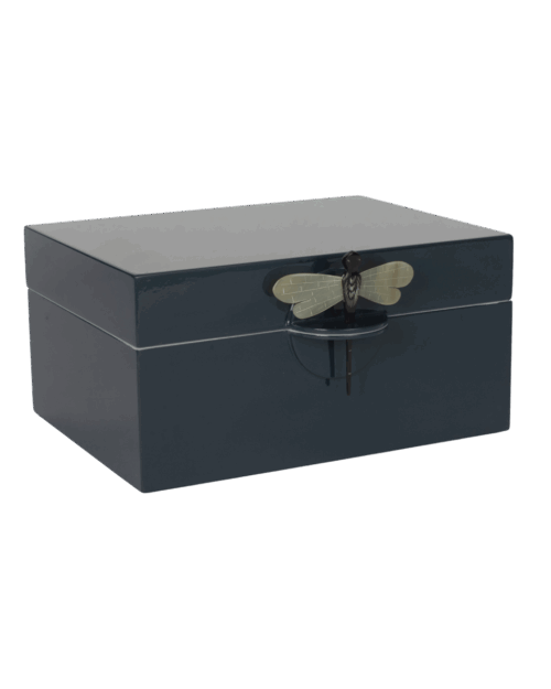 CAJA DRAGONFLY XL PETROLEO