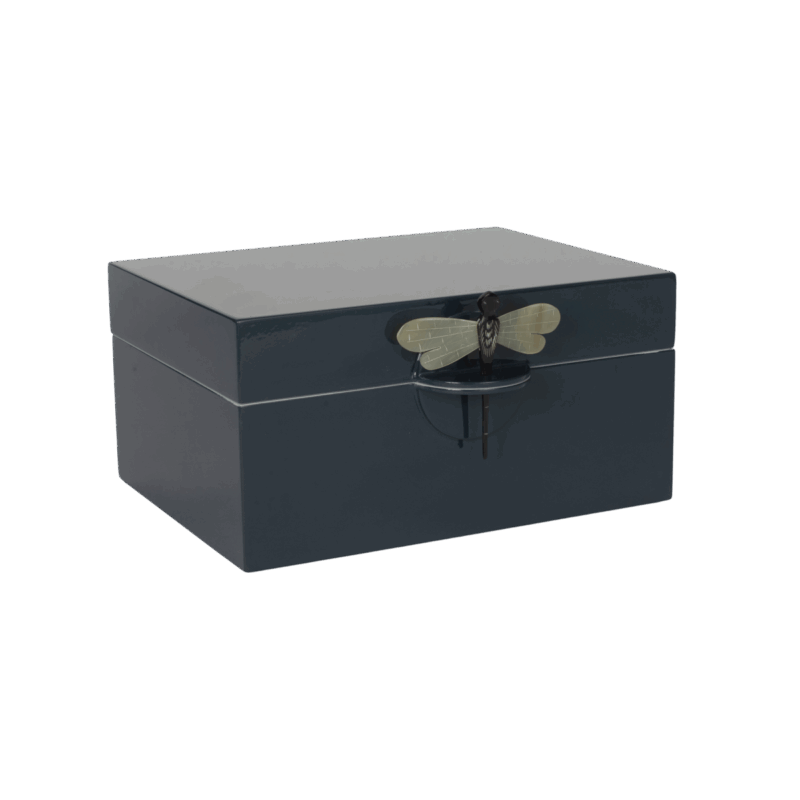 CAJA DRAGONFLY XL PETROLEO