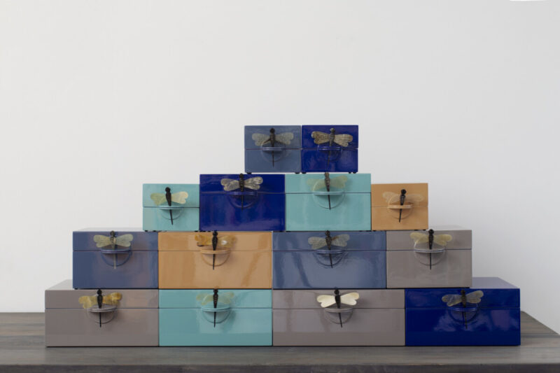 CAJA DRAGONFLY BERENJENA - Imagen 4