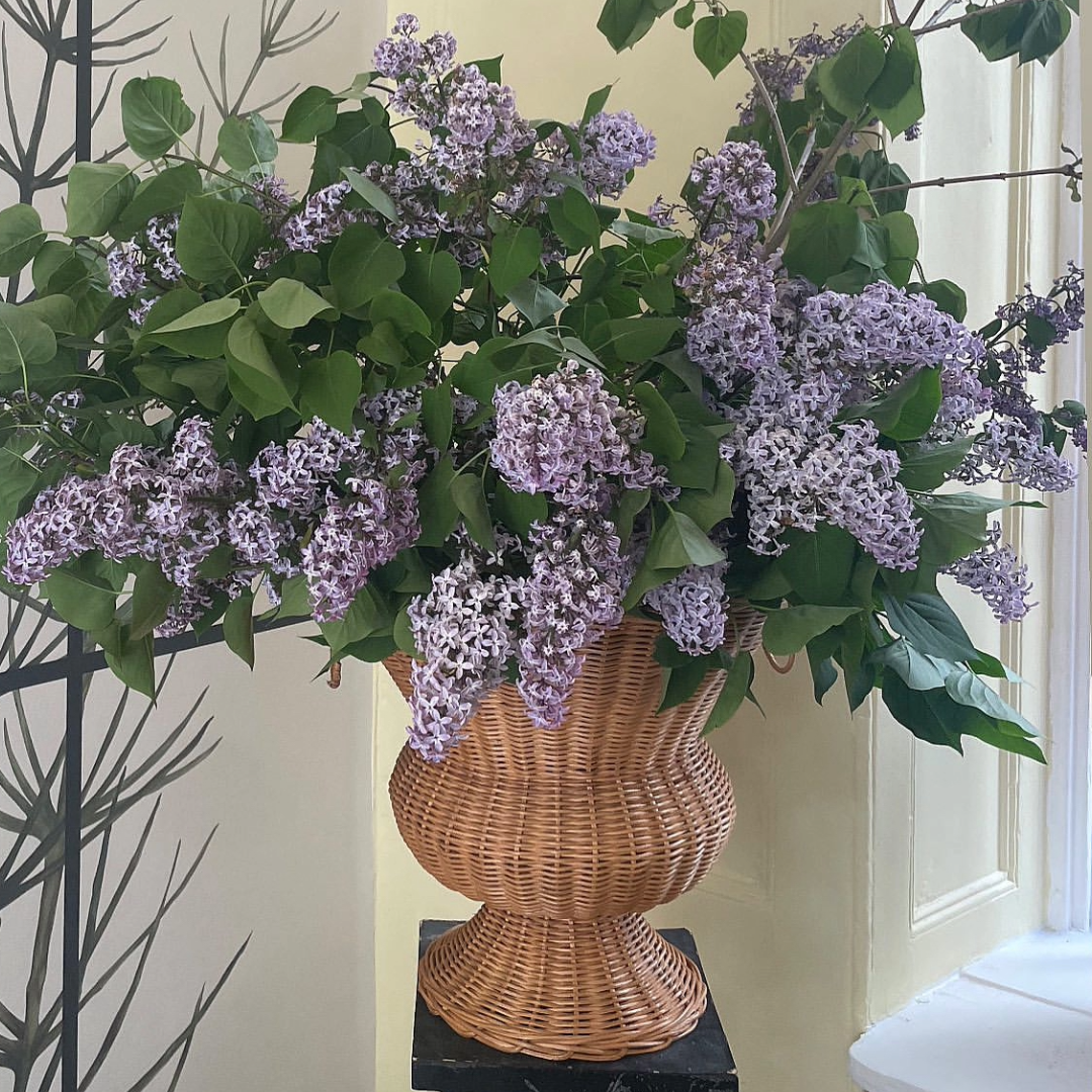 base ratán, copa ratán