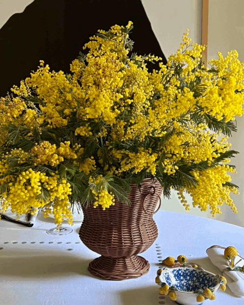 base ratán, copa ratán