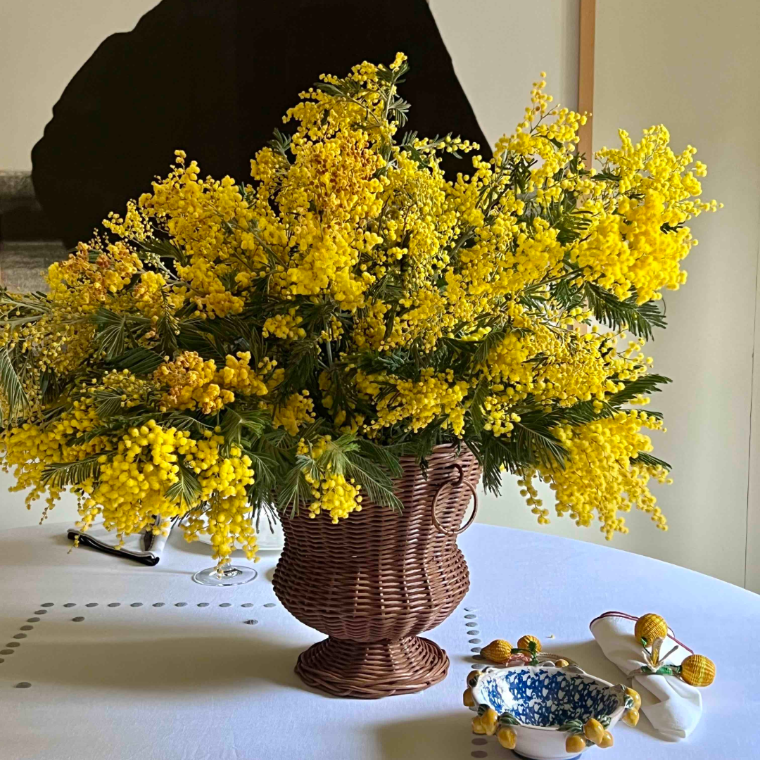 base ratán, copa ratán