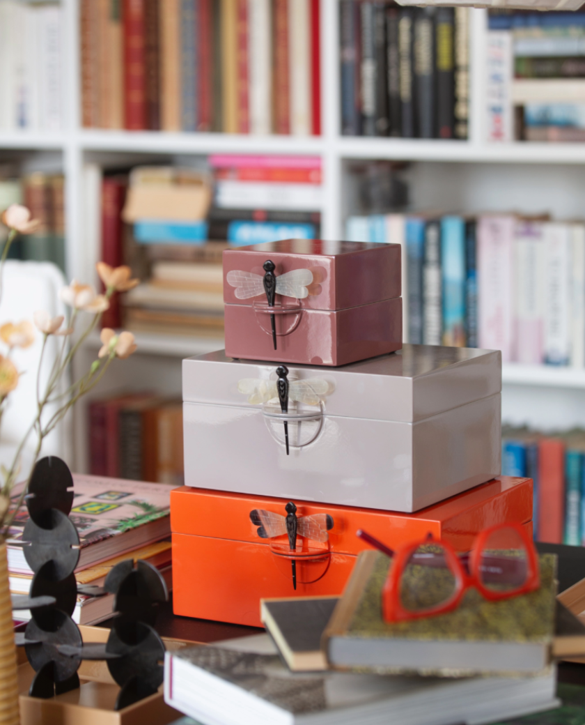 CAJAS LACA, JOYERO LACA , INDIETRO