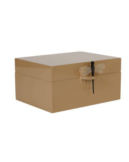 CAJA DRAGONFLY XL CAMEL