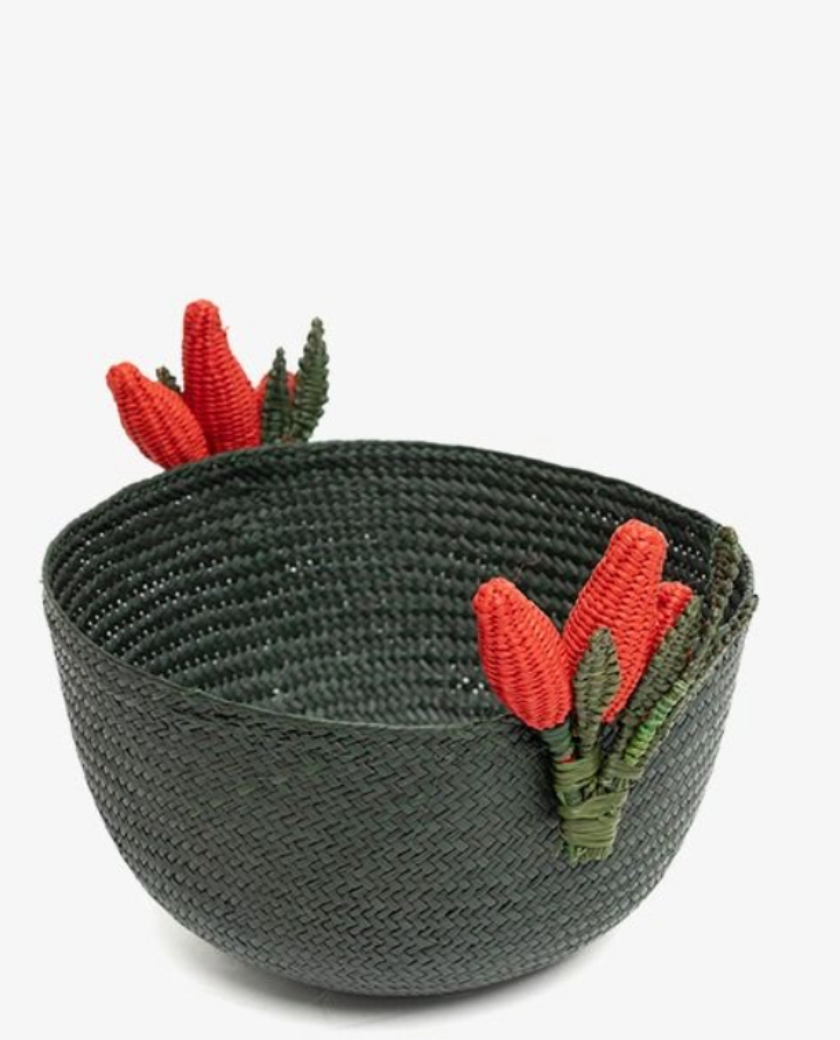 paneras iraca. indietro