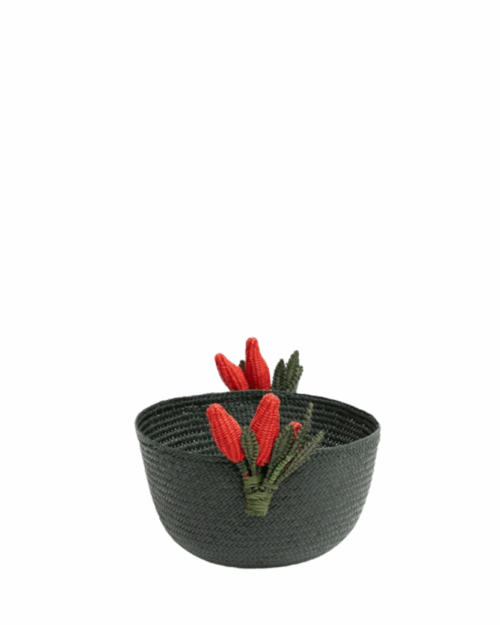 bowl iraca, panera iraca, indietro