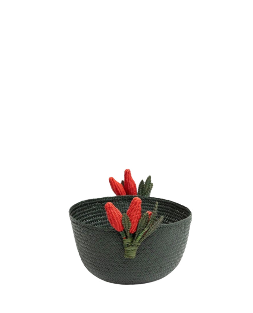 bowl iraca, panera iraca, indietro