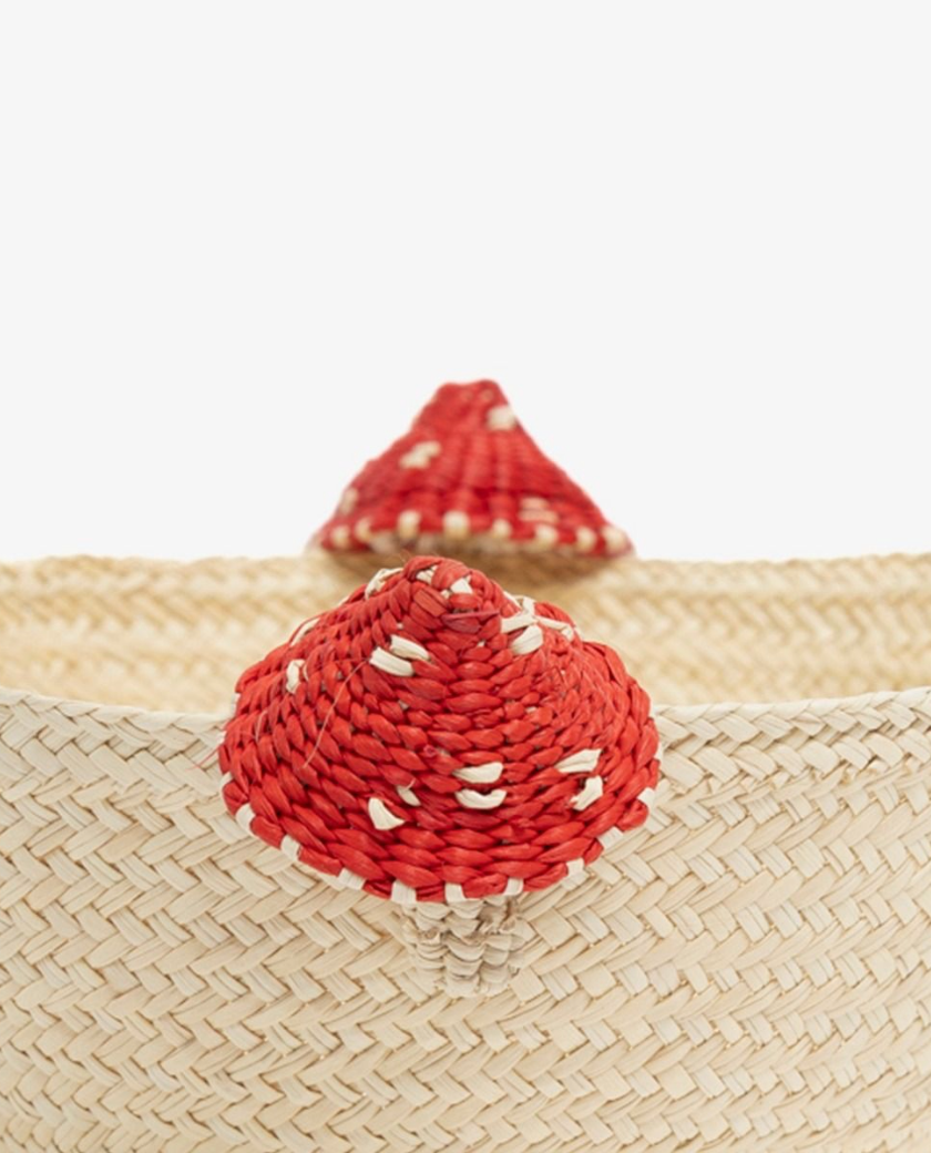 bowl setas , cesta , panera, iaraca