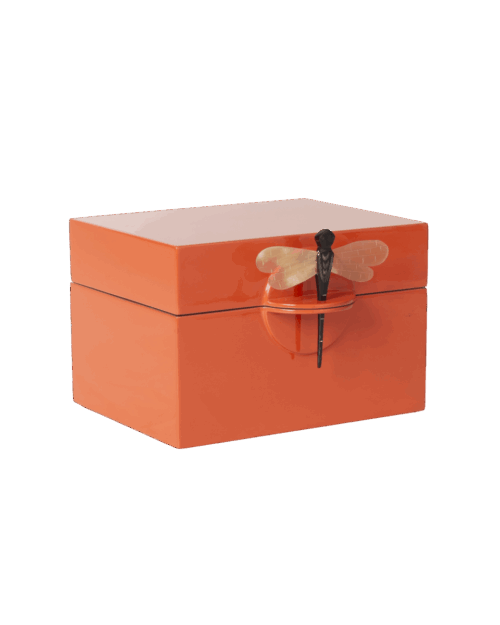 CAJA DRAGONFLY NARANJA