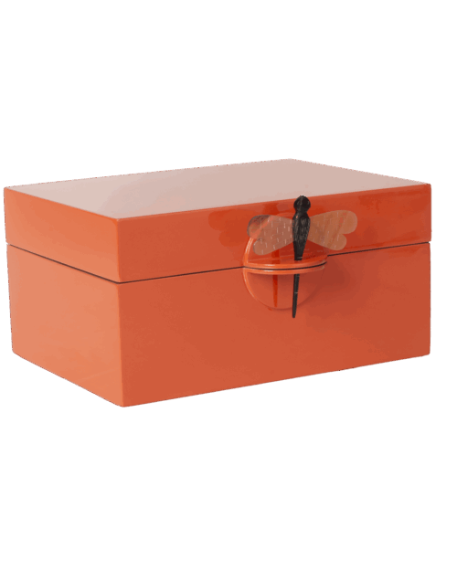 CAJA DRAGONFLY XL NARANJA
