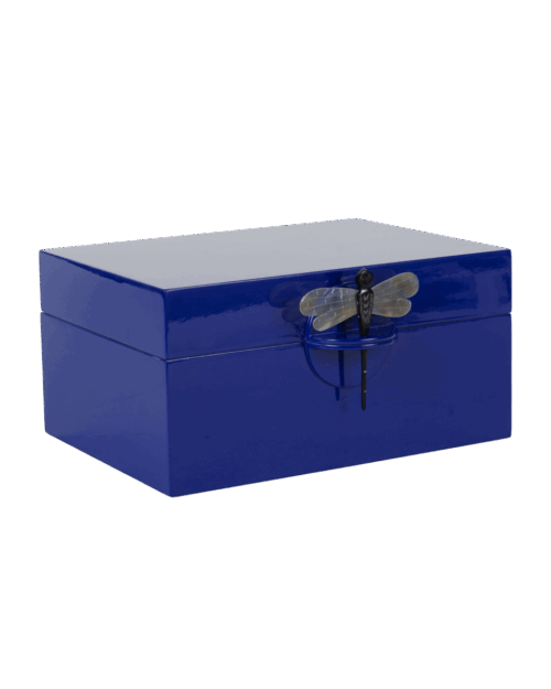 CAJA DRAGONFLY XL BLUE