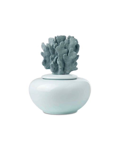 CAJA CERAMICA , CAJA CORAL