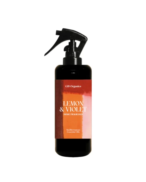 HOME FRAGANCE G19, INDIETRO