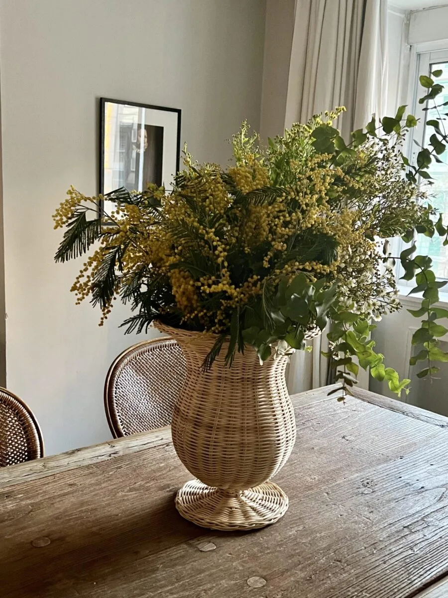 base ratan , florero ratan , indietro