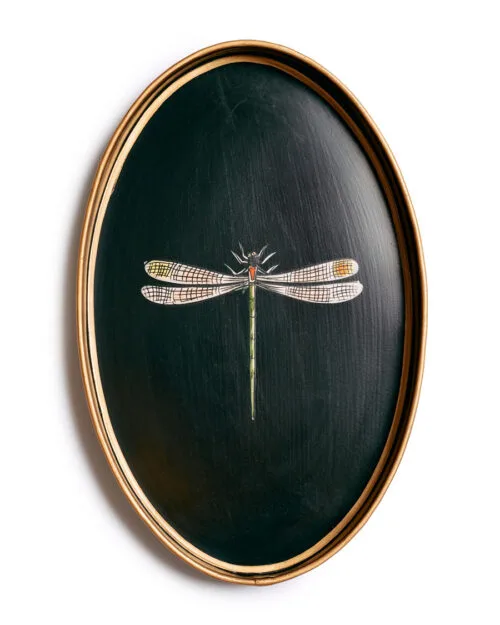 BANDEJA LIBELULA