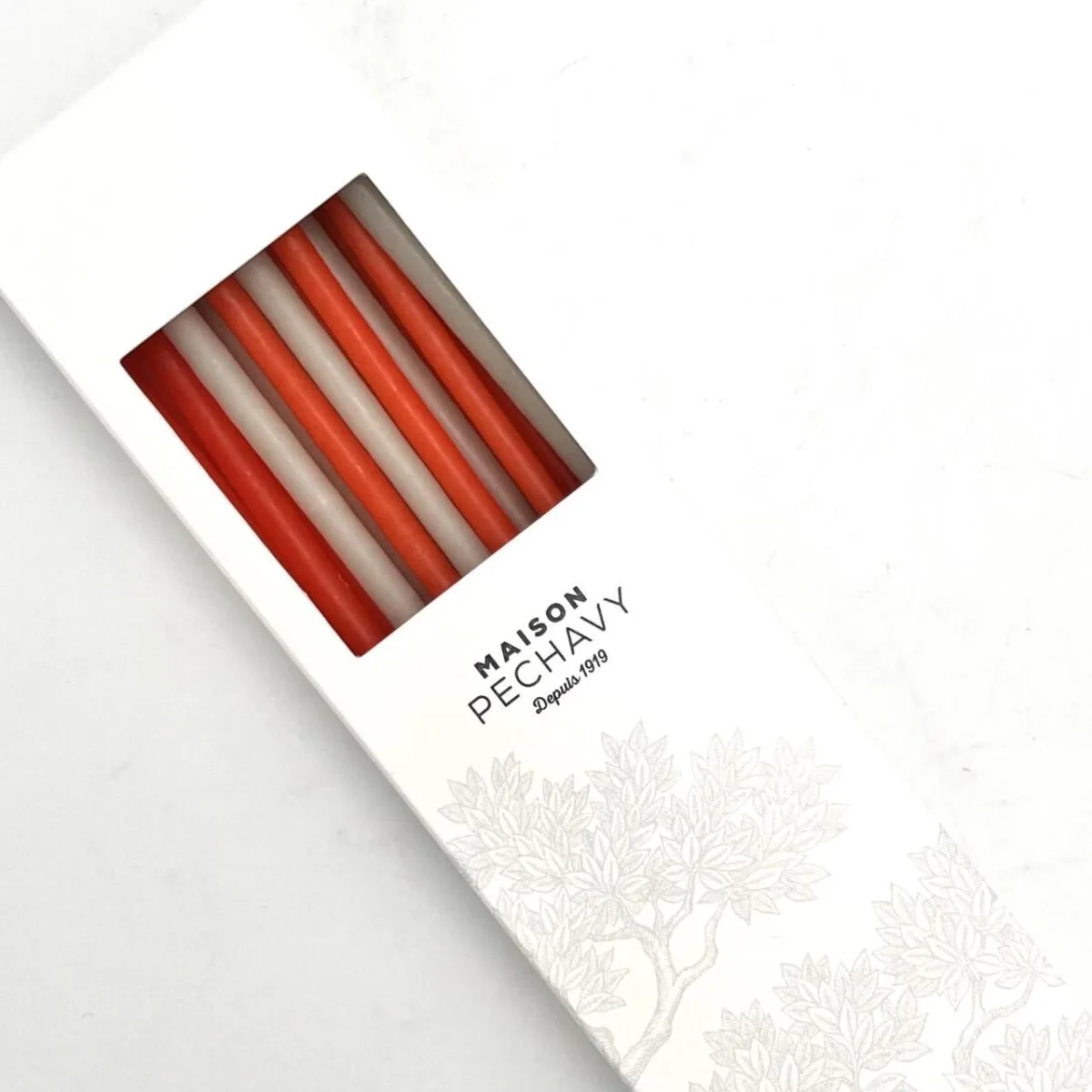 VELAS FESTIVAS GUSTAVIA