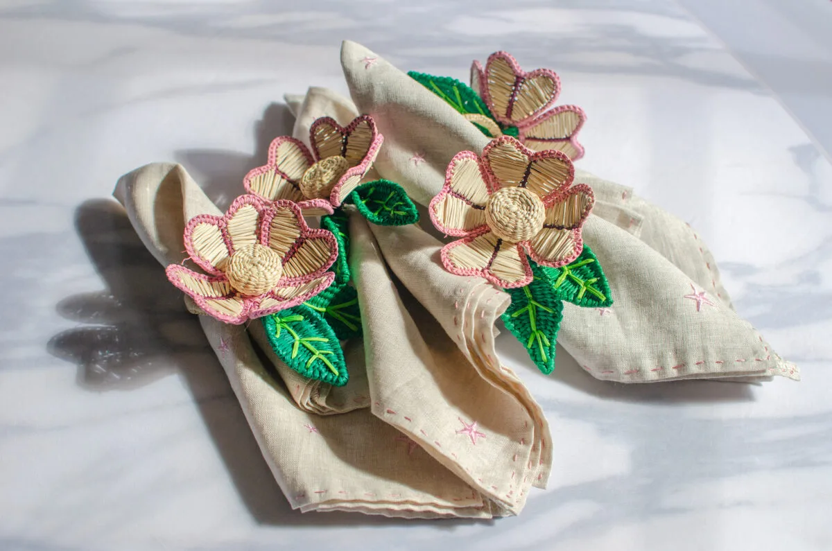 SERVILLETERO KIWI - Imagen 3