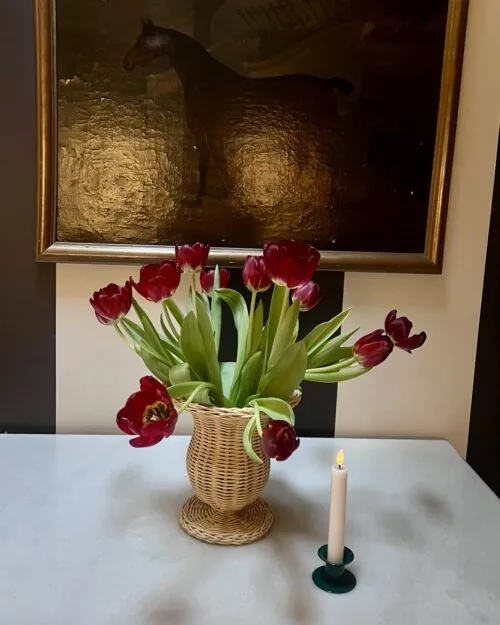 base ratán, jarrón ratán, indietro