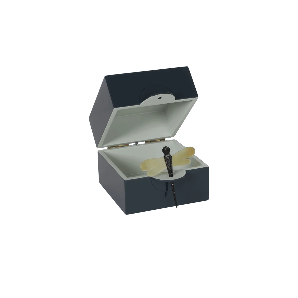 CAJA DRAGONFLY VERDE S - Imagen 3