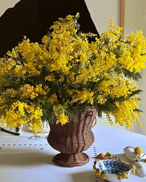 base ratán, copa ratán