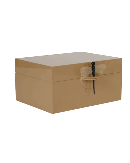 CAJA DRAGONFLY XL CAMEL