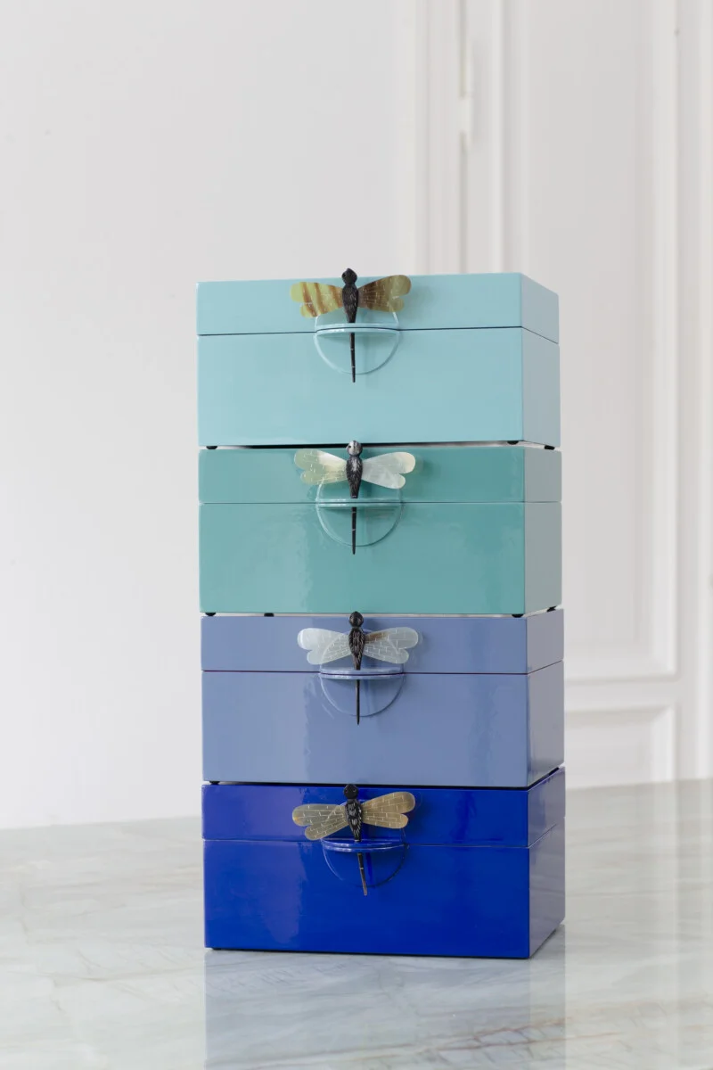 CAJA DRAGONFLY BLUE - Imagen 2