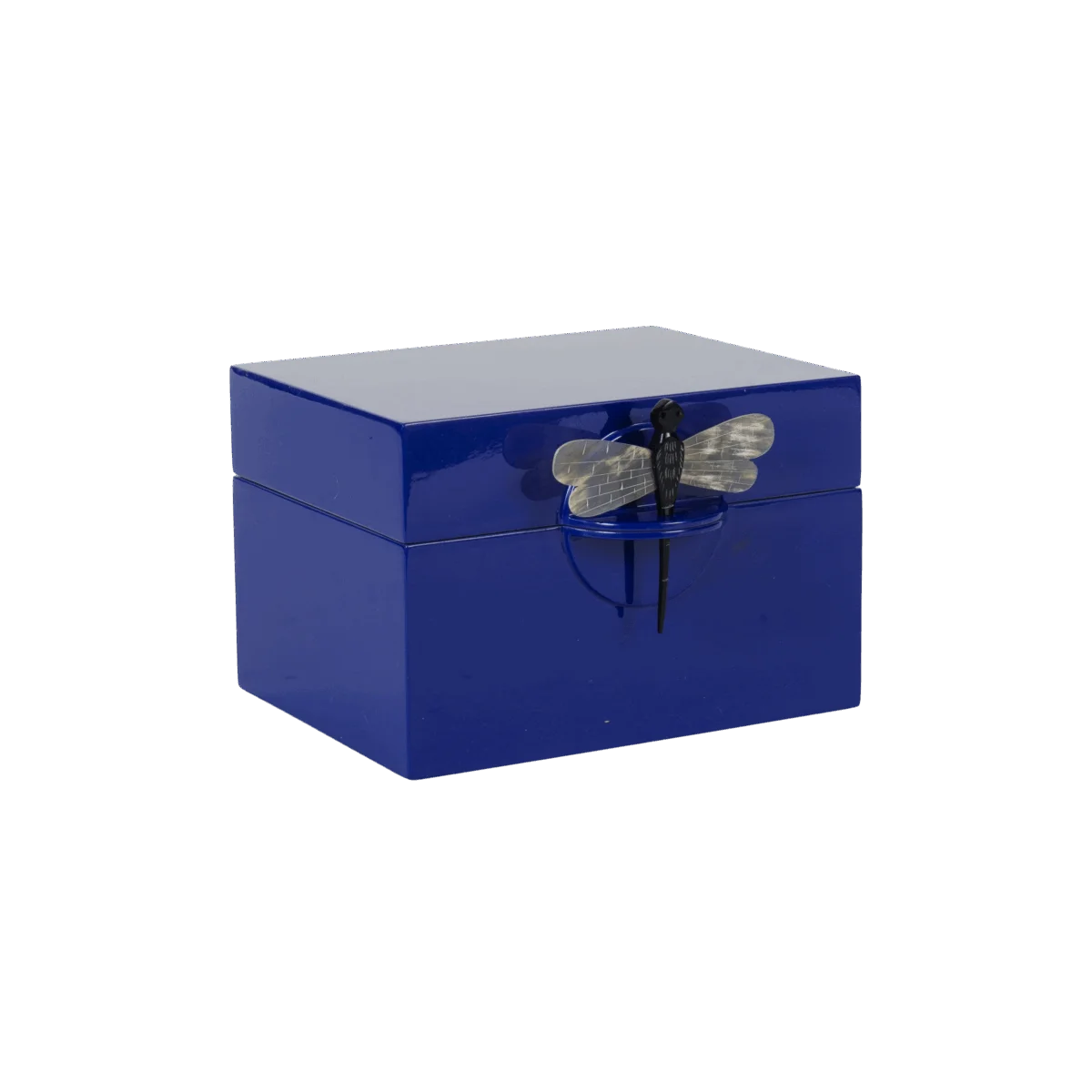 CAJA DRAGONFLY BLUE