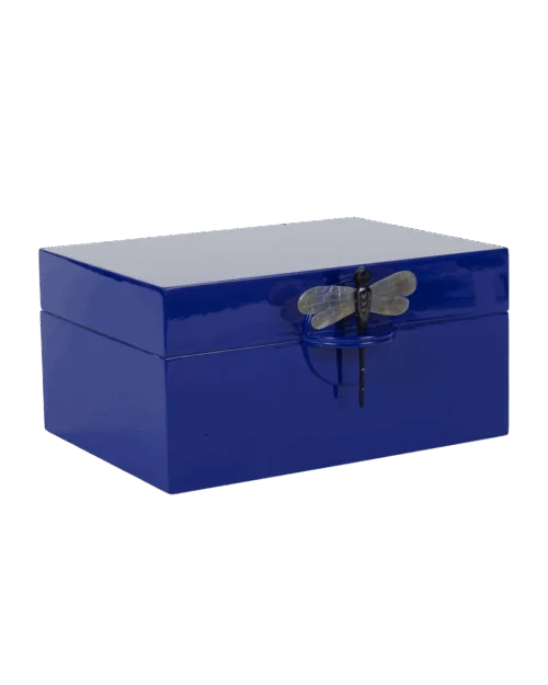 CAJA DRAGONFLY XL BLUE