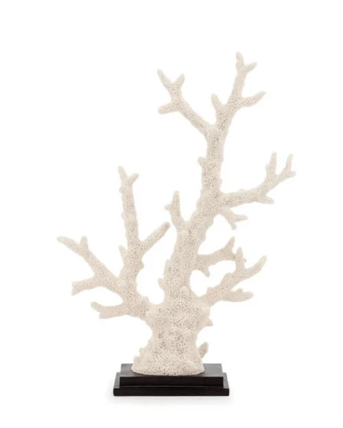 corales decorativos, adornos en coral